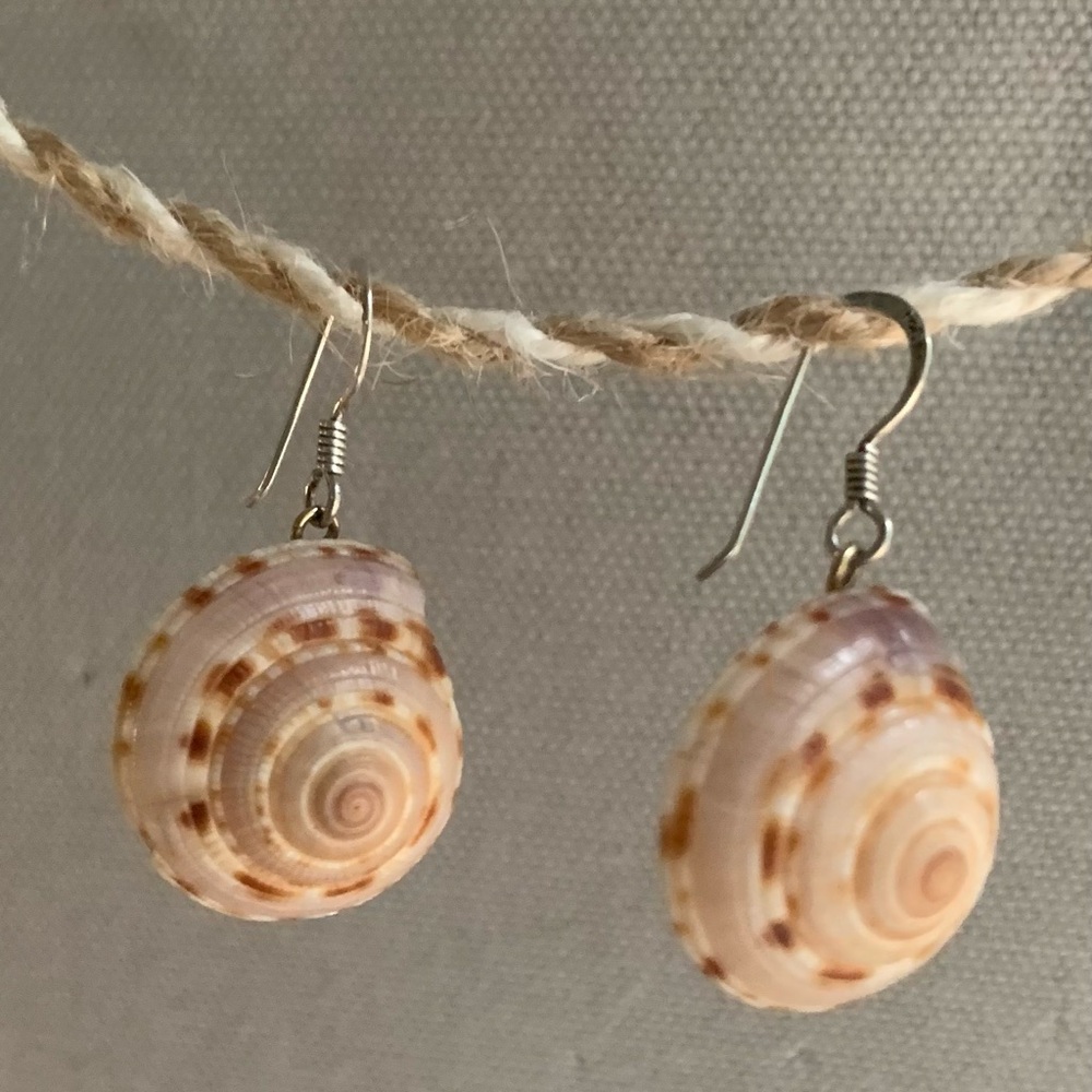 Sundial Shell Drop Earrings  Silver findings